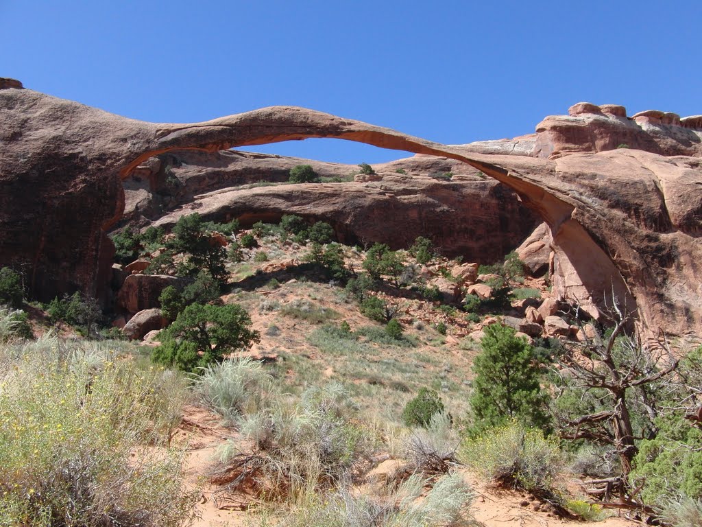 Landscape Arch, Arches National Park by bluebuerstel