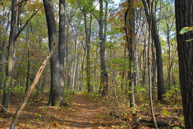 Mill Creek Trail at French Creek State Park by EHJ666