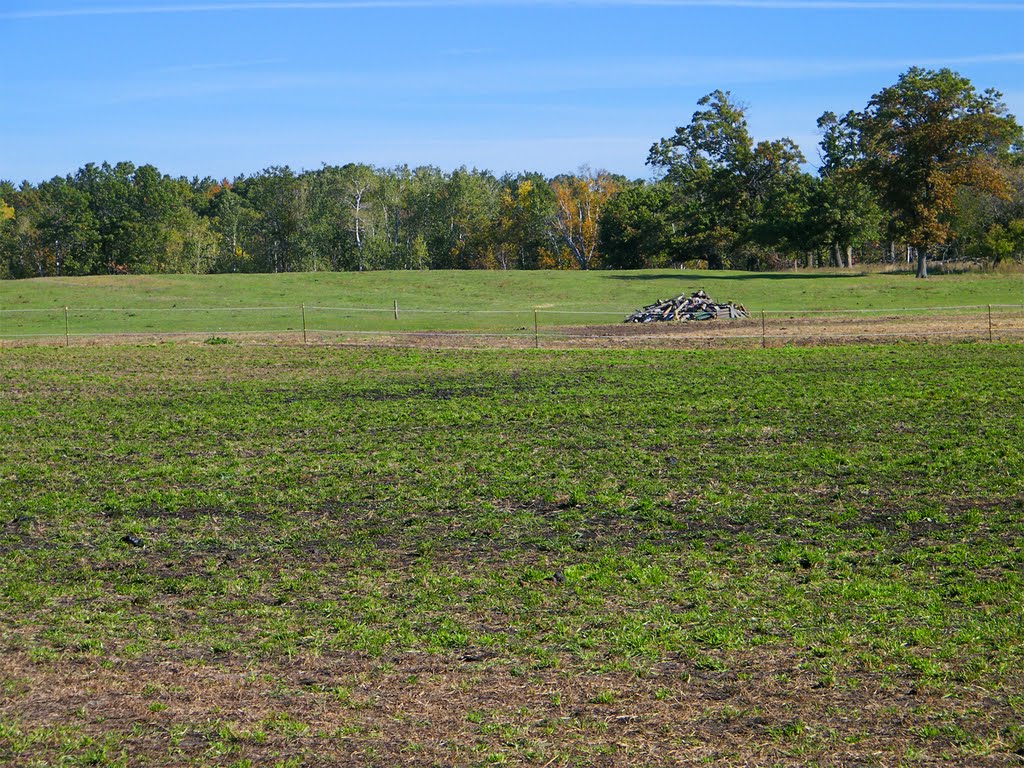 Horse Pasture with Debris, Bunker Hills Park, Coon Rapids, Minnesota by © Tom Cooper