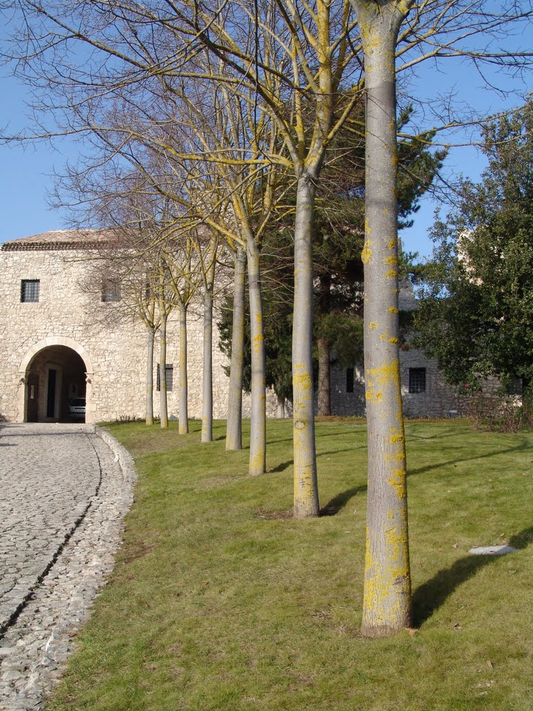 GDA - Abbazia del Goleto, viale d'ingresso - 2006 by PINODALESSANDRO