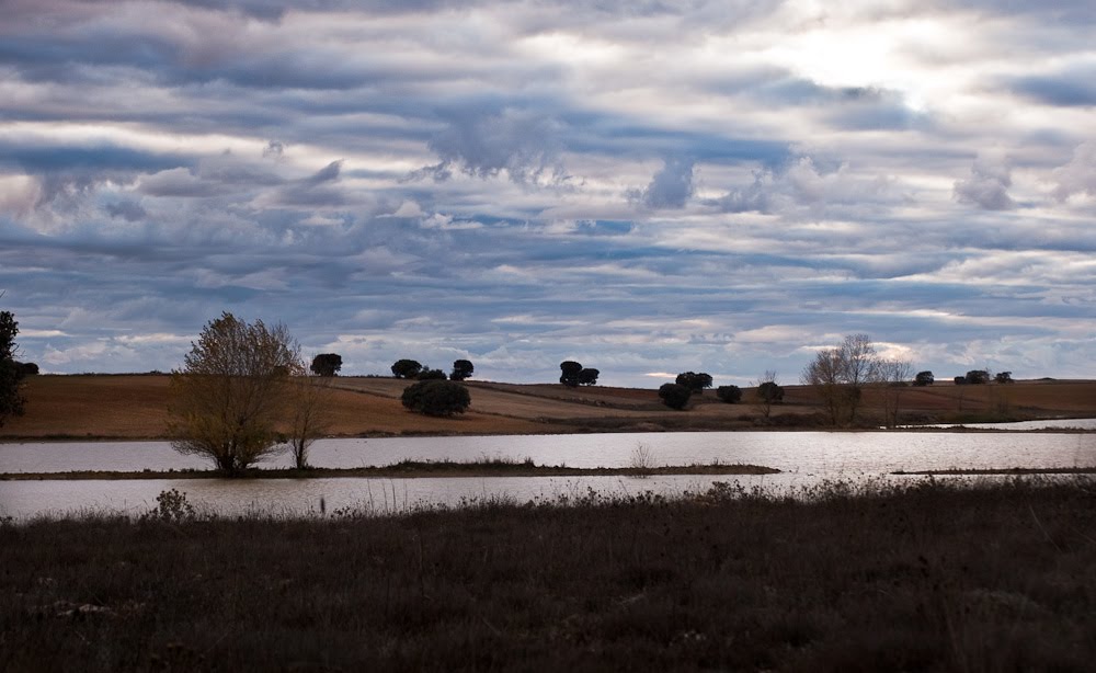 Humedales en El Bonillo by Vicky GP