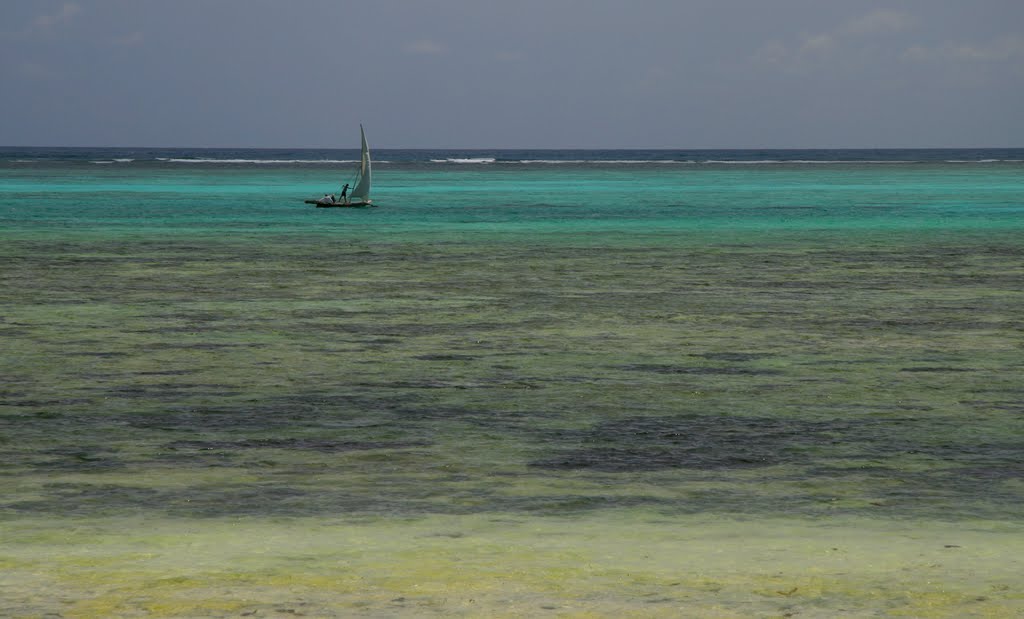 Dhow near Kichanga by Huw Lewis