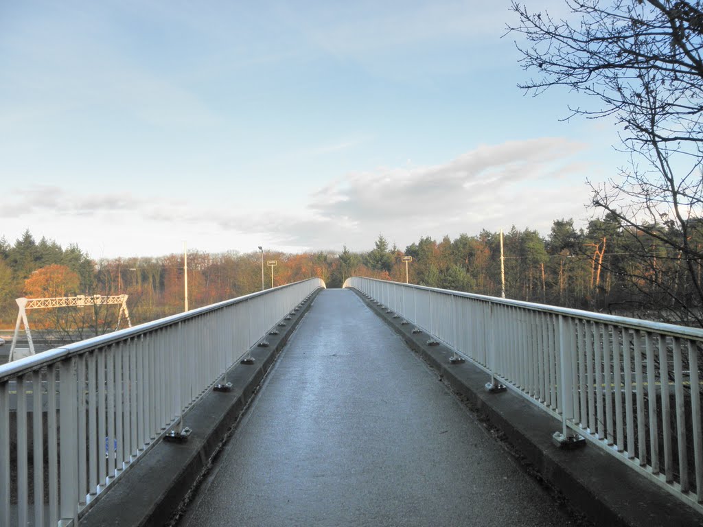 Fietsbrug Paradijsweg by Mart61