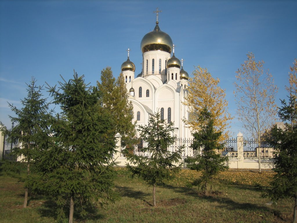 Сathedral / Православный Троице-Владимирский собор by Вадим Левин