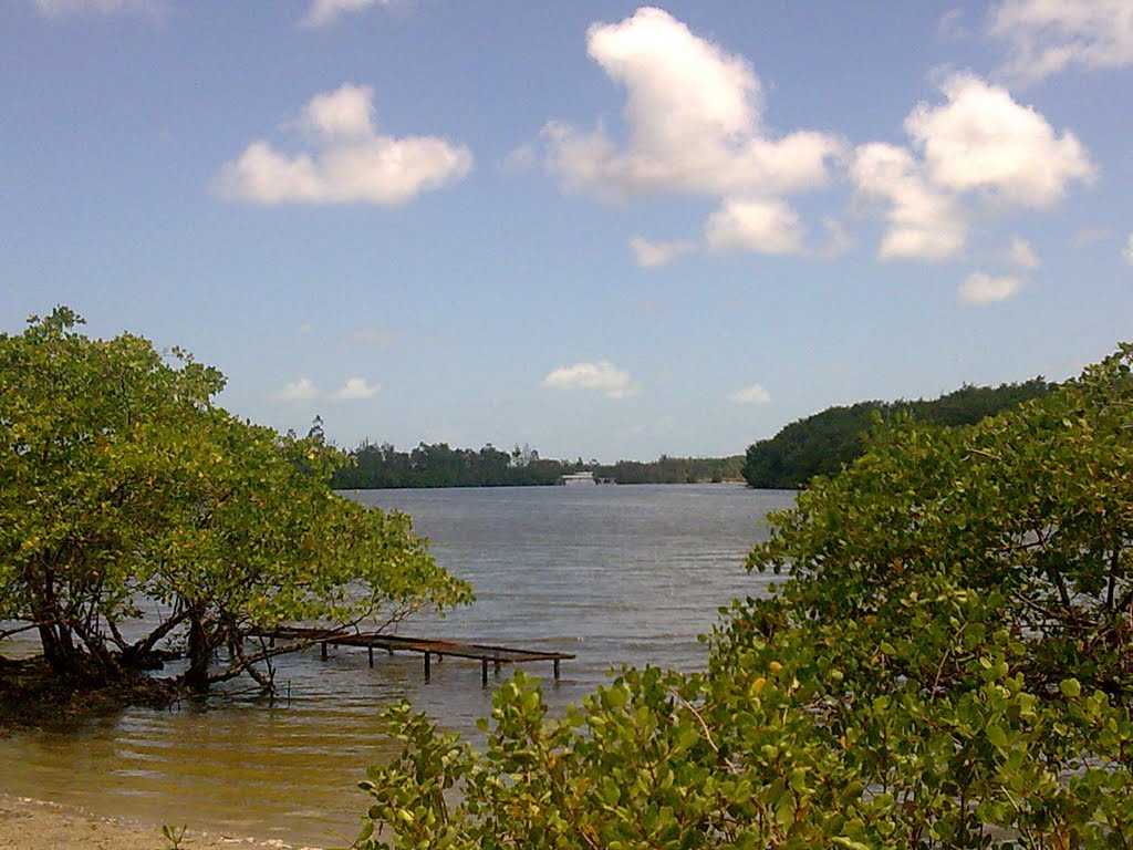 Rio Jacuípe by Célio Henrique