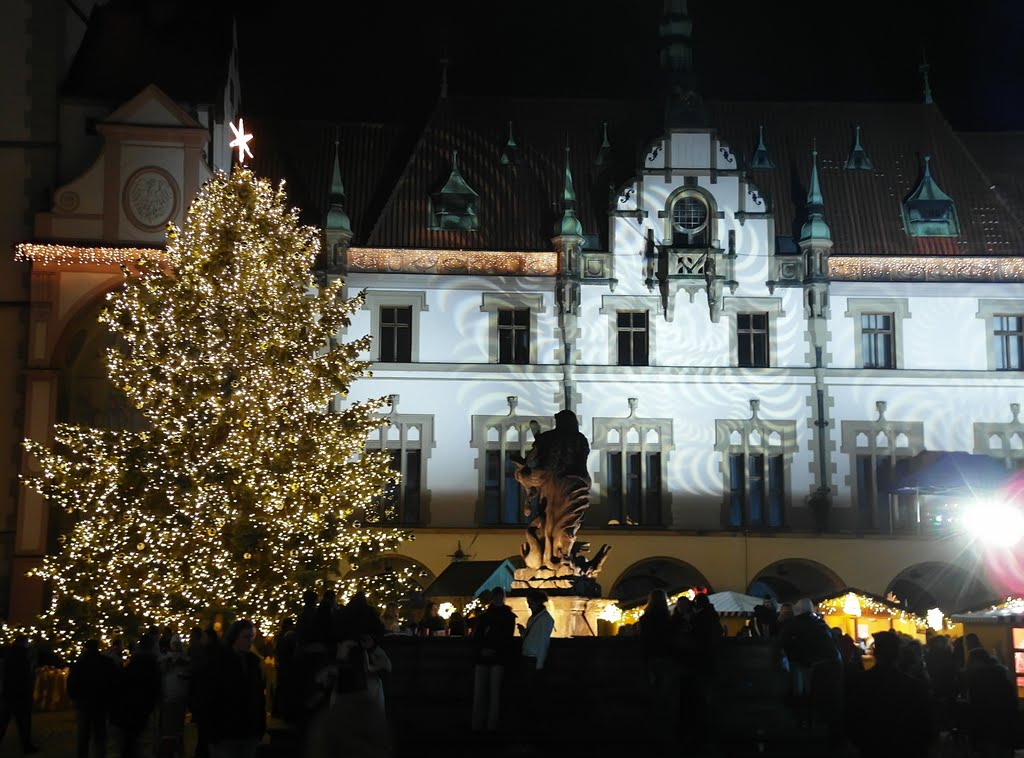 Olomouc 2010 - předvánoční I by ZL.CANDA