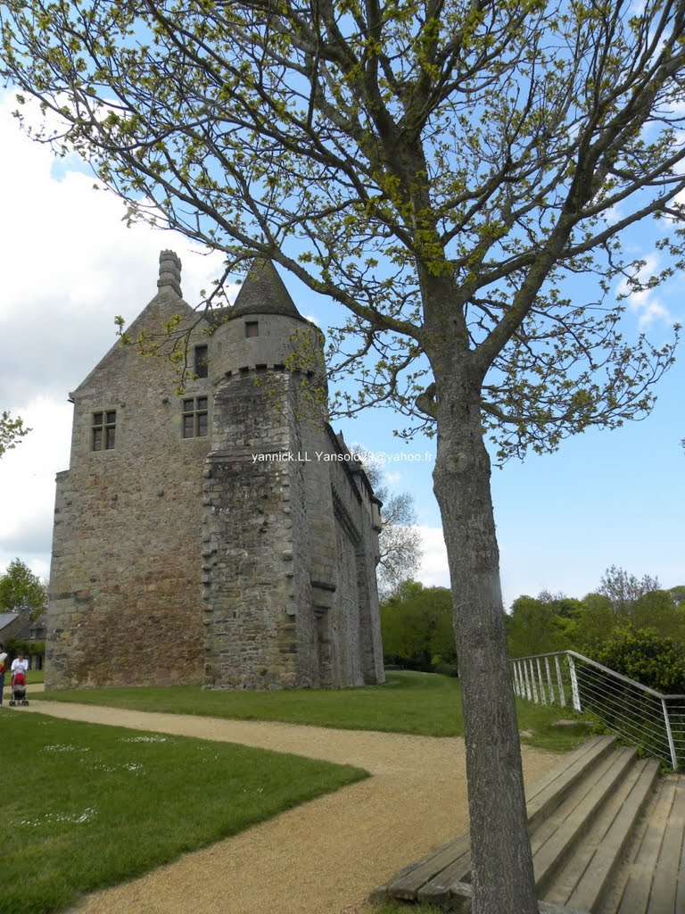 Le château de la Roche Jagu by yannick. LL