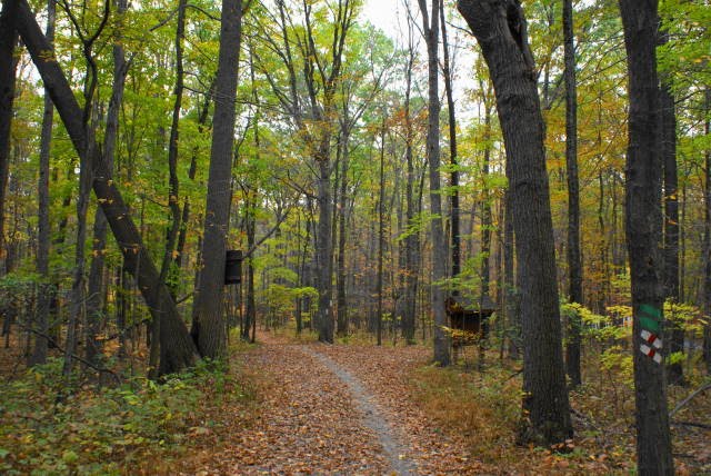 Lenape / Mill Creek Trail at French Creek State Park by EHJ666