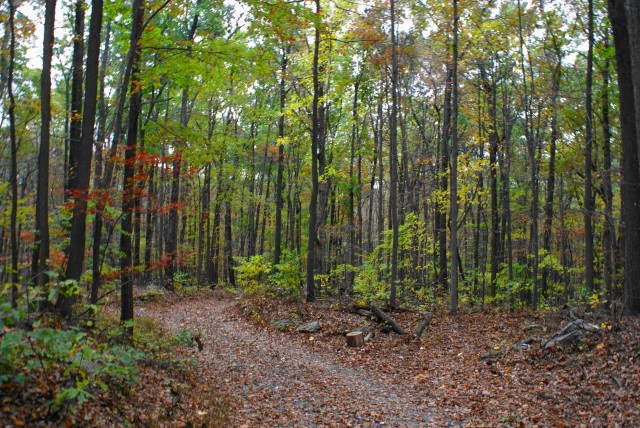 Lenape / Mill Creek Trail at French Creek State Park by EHJ666