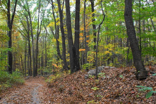 Lenape / Mill Creek Trail at French Creek State Park by EHJ666