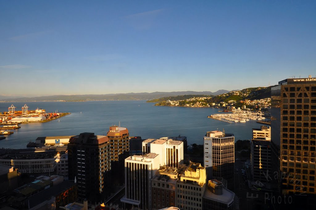 Wellington Bay by Eva Kaprinay