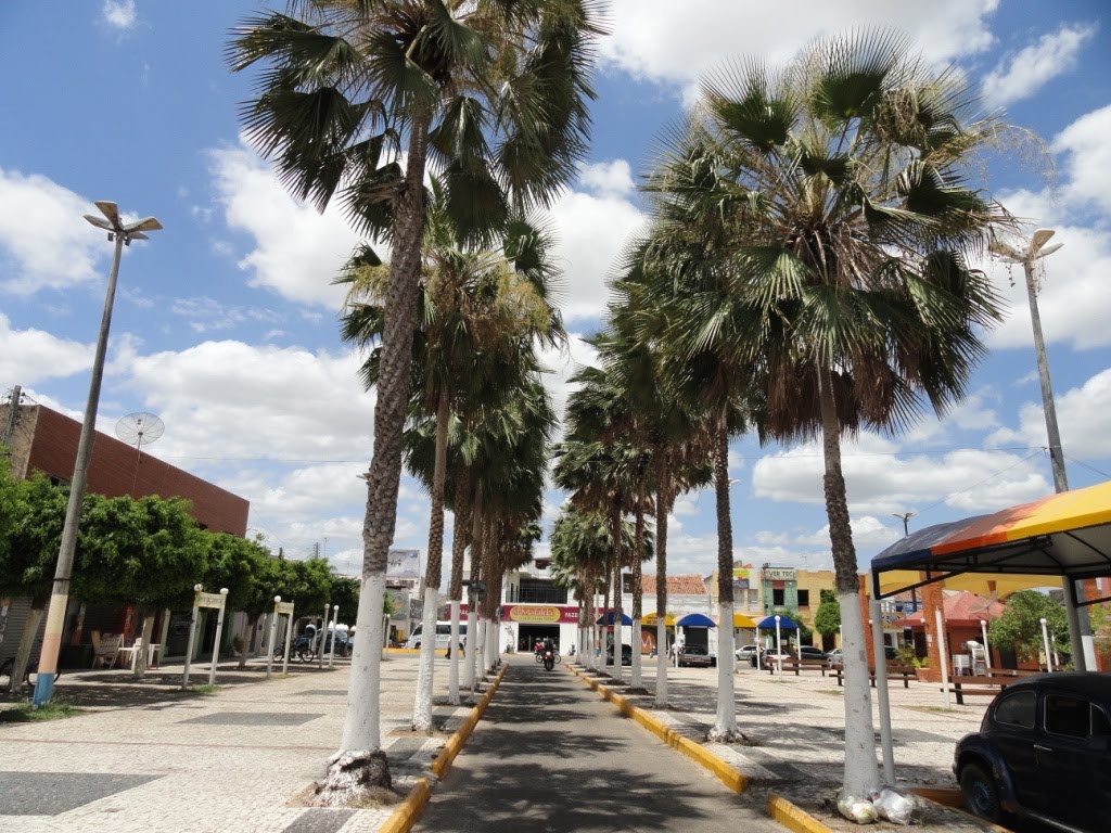 Russas-CE: Praça central - arborizada e bem cuidada by Walter  Leite