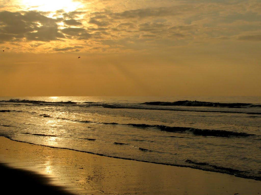 Zandvoort by Frank Schreier