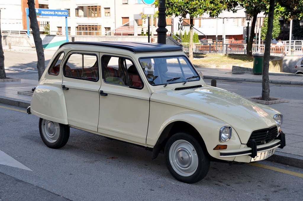 Citroen Dian 6, su dueño un fenomeno by juanignaciomoreno