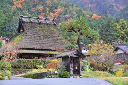 Kyoto Miyama Kayabuki-no-Sato by sonotune