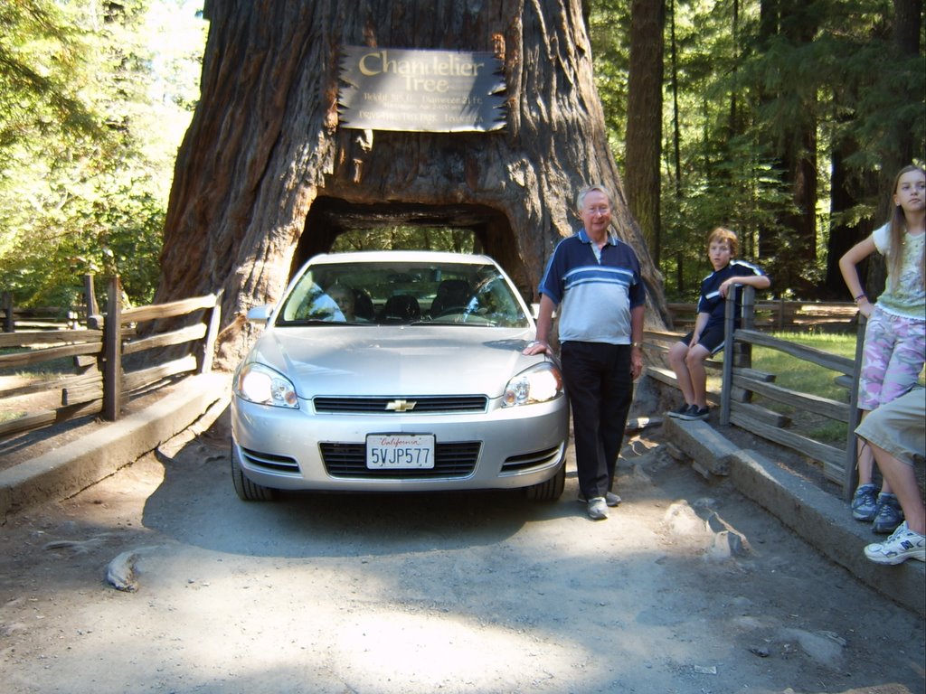 Terry @ Chandelier tree by terrystar