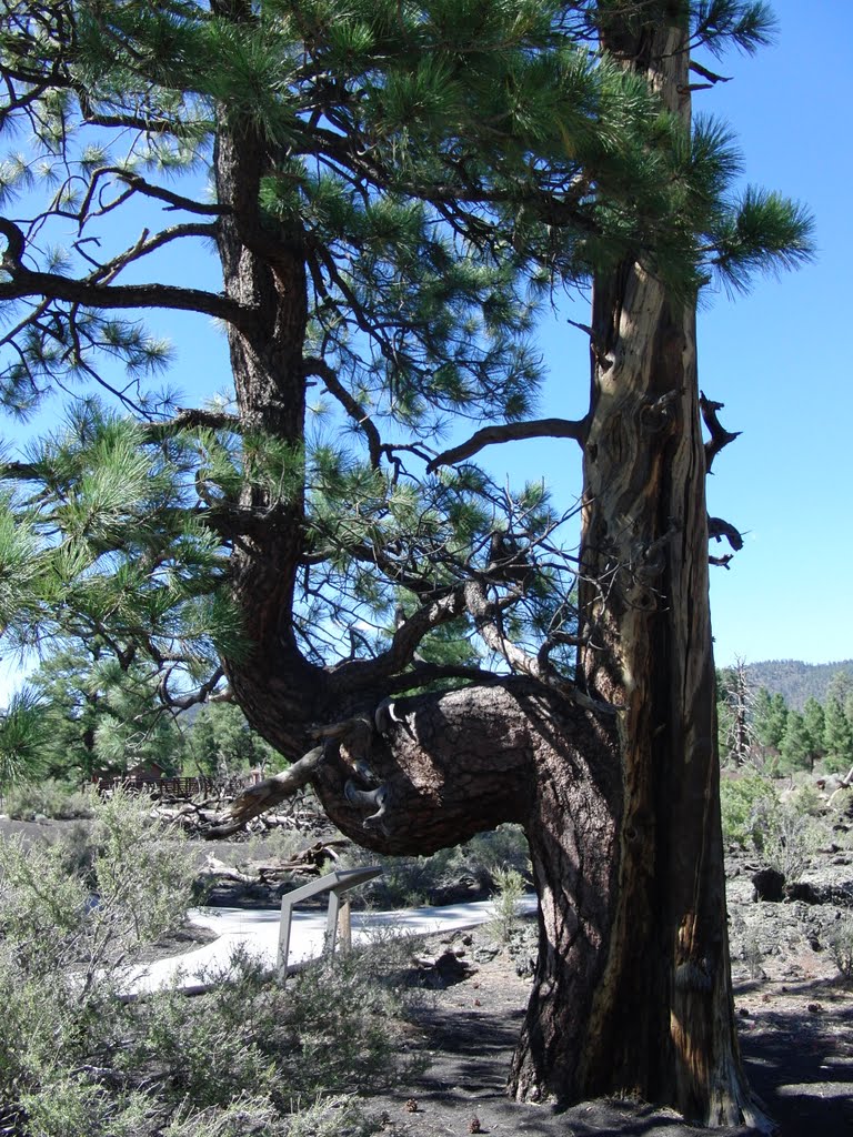 Sunset Crater by bluebuerstel