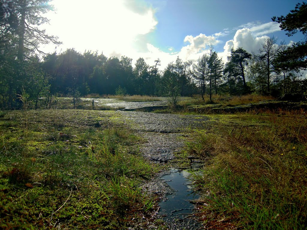 After the rain by Petteri Kantokari