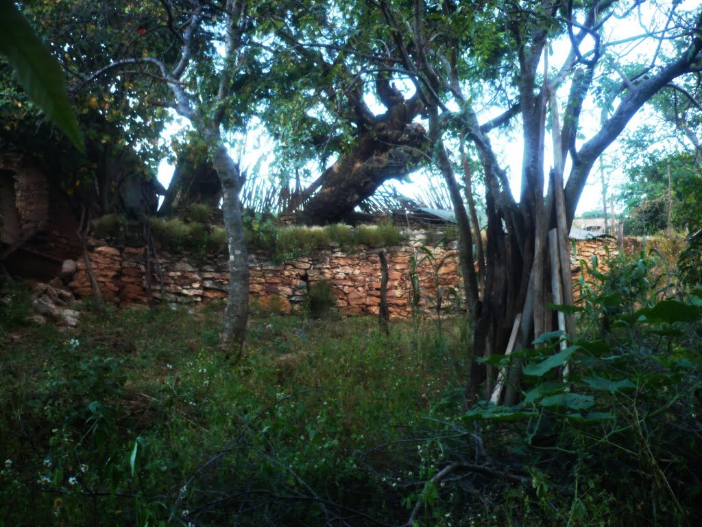 Ahuacuotzingo, Guerrero, Mexico by Heri P. Salazar