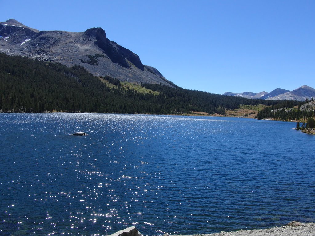 Ellery Lake by bluebuerstel