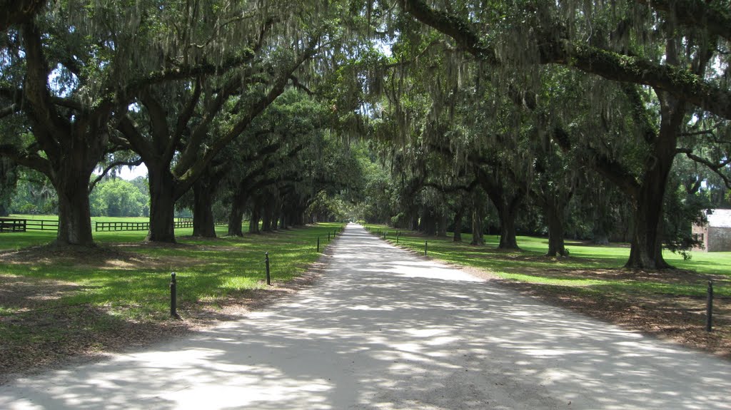 Charleston County, SC, USA by Jason Gregory