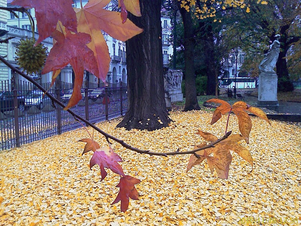 Colori in centro a Torino,autunno 2010 by JupiterJet