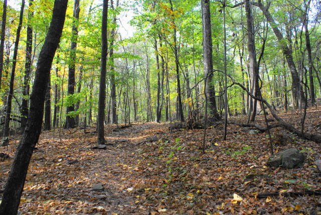 Lenape Trail at French Creek State Park by EHJ666