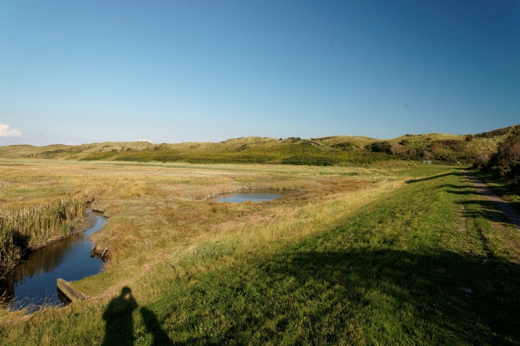 Texel - De Slufter - View East by txllxt TxllxT