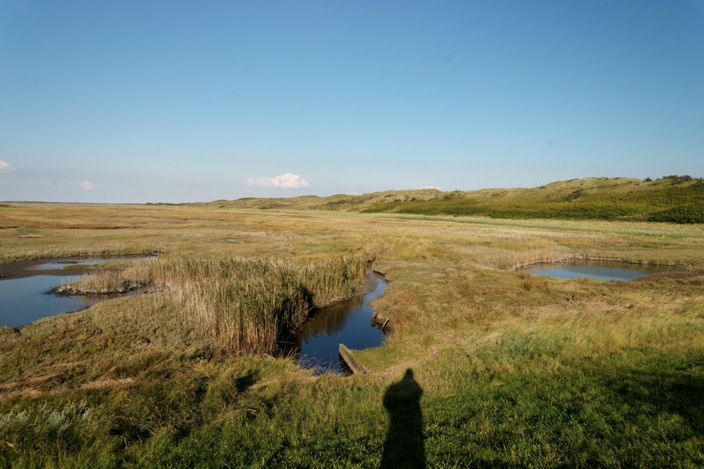 Texel - De Slufter - View NE by txllxt TxllxT