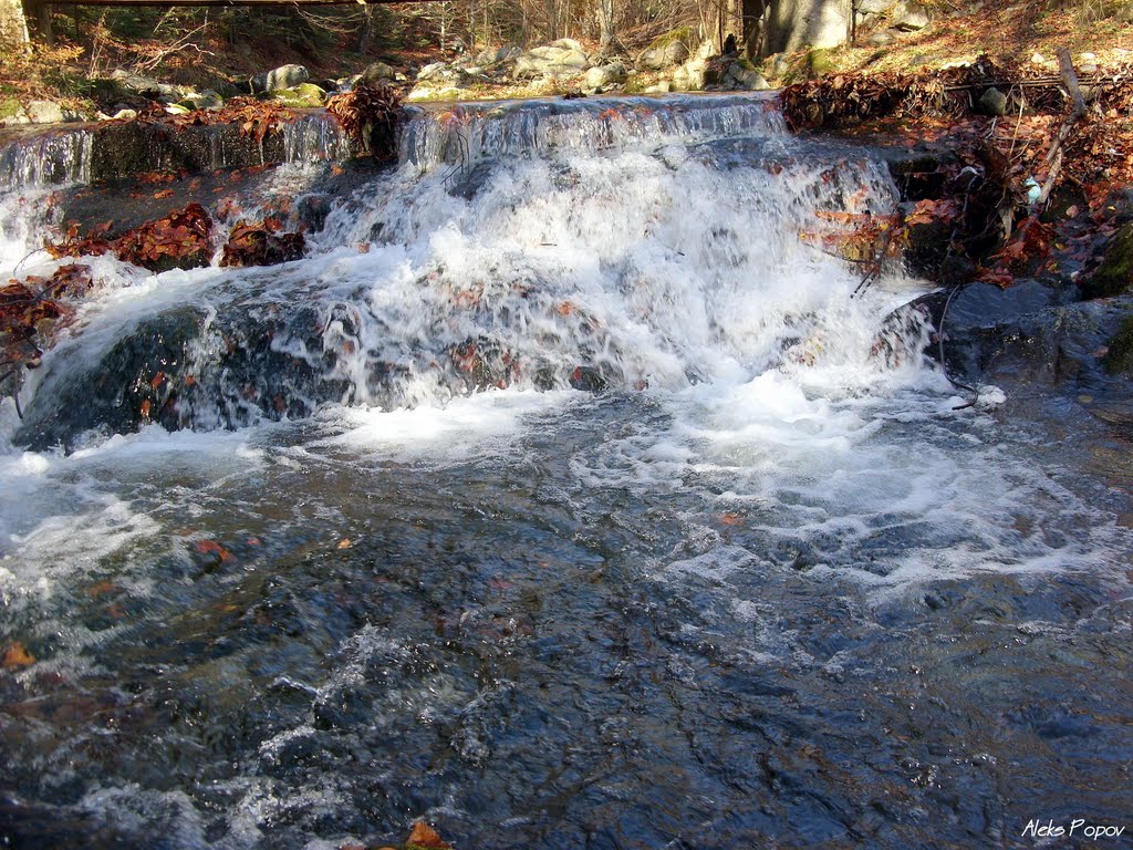 Bulgaria - Balkan Mountain - River - Стара Планина - Стара Река - Водопад by Margarita Varadinova…