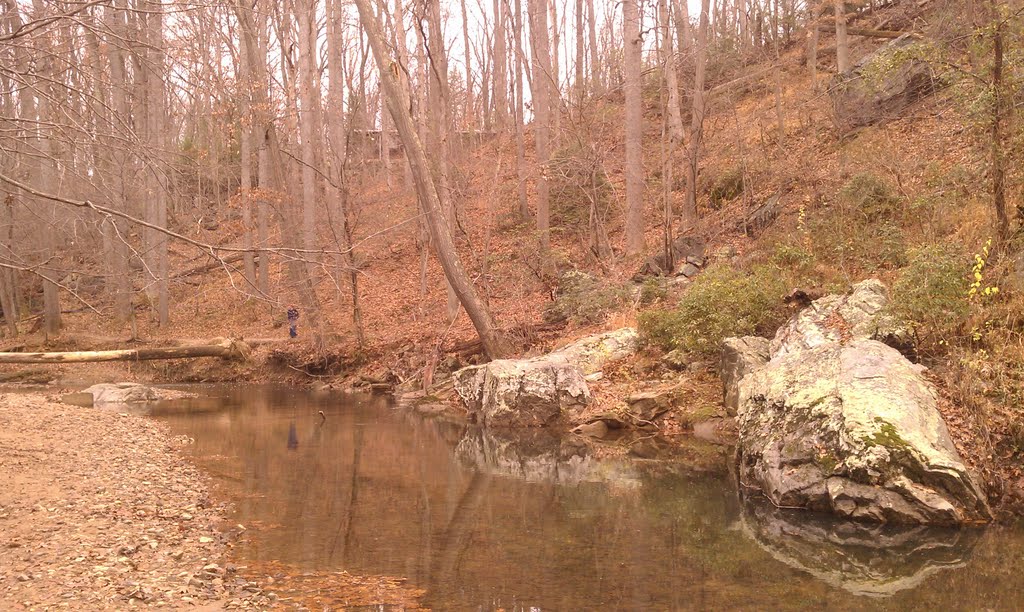 Northwest Branch Stream by jeffdlb