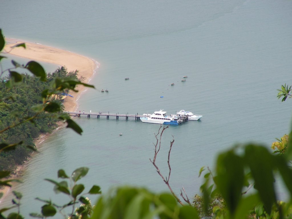 Dunk Island, Qld. Australia by the Pain