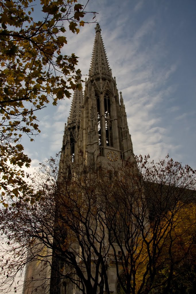 Votivkirche by Oreste Iftode