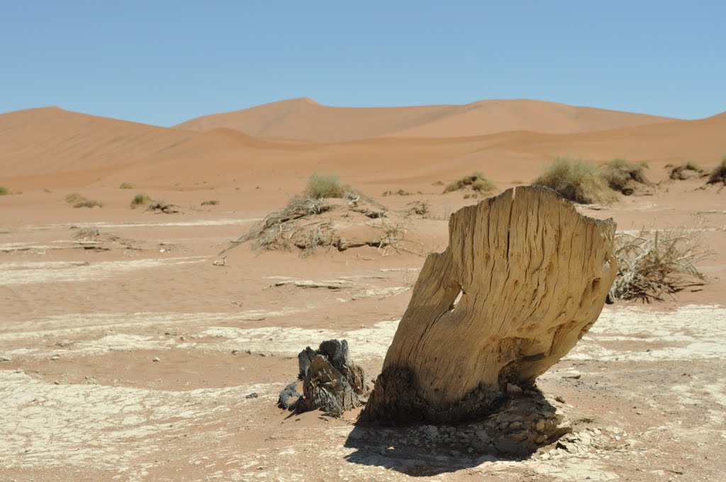 Unnamed Road, Sossusvlei, Namibia by marco anholts