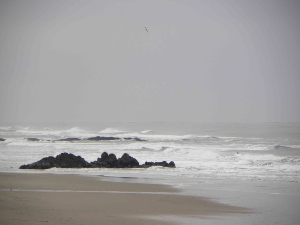 Lincoln City Beach by Todd Stahlecker