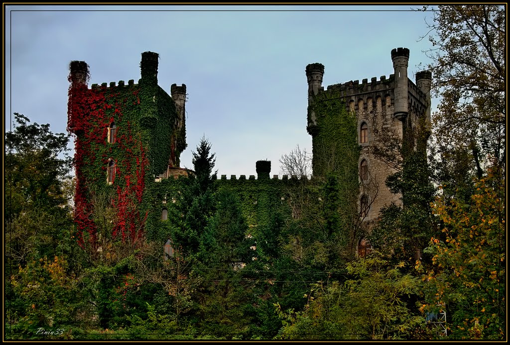 Castillo de Priorio by pinin33