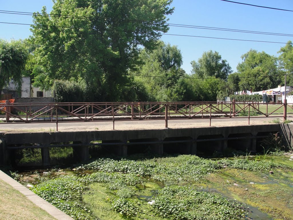 Puente sobre calle Capdevielle by ivelbero