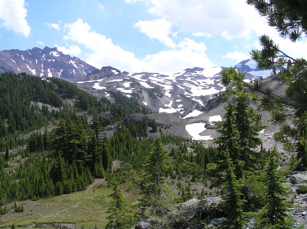 View toward the Sisters from Obsidian Trail by John Hains