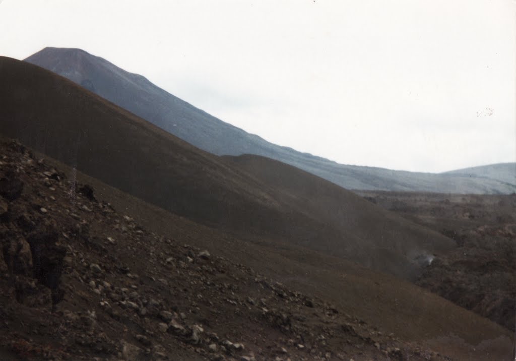 Crater navidad, 1988 by Willy Fahrenkrog