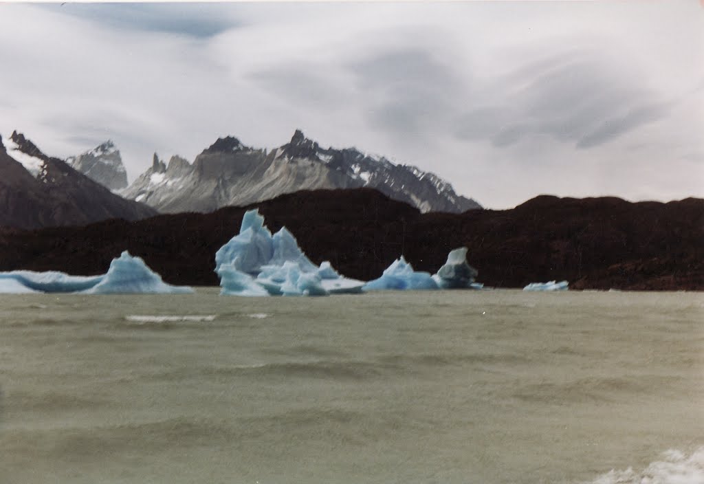 Lago Grey, glaciares by Willy Fahrenkrog