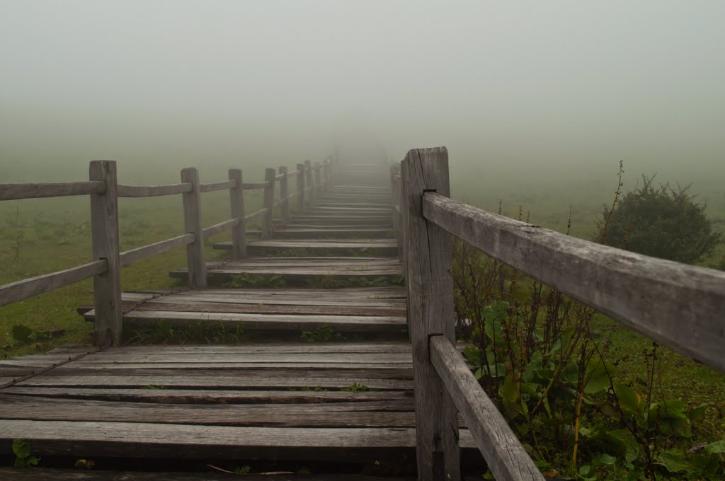 Trail into the fog by James_Wheeler