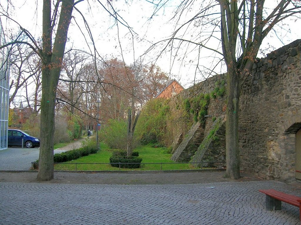 Haldenleben Stadtmauer November 2007 by Destiny