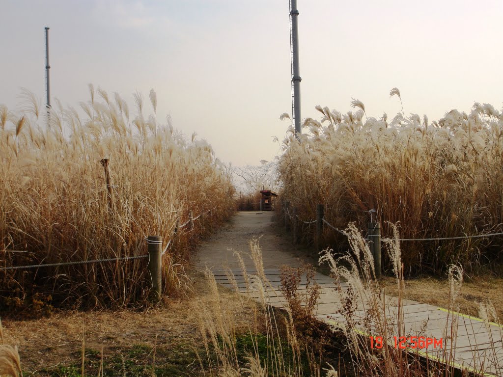 Sangam-Dong Eco-Park by Che Trung Hieu