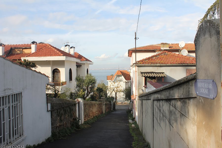 Street by Evren Çoğal