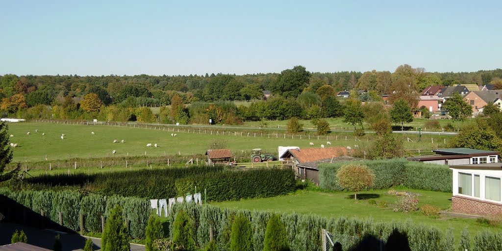 Blick von Hamfelde/Lauenburg nach Hamfelde/Stormarn übers Billetal zum Forst Hahnenheide by •• HaHeBa (D) ••