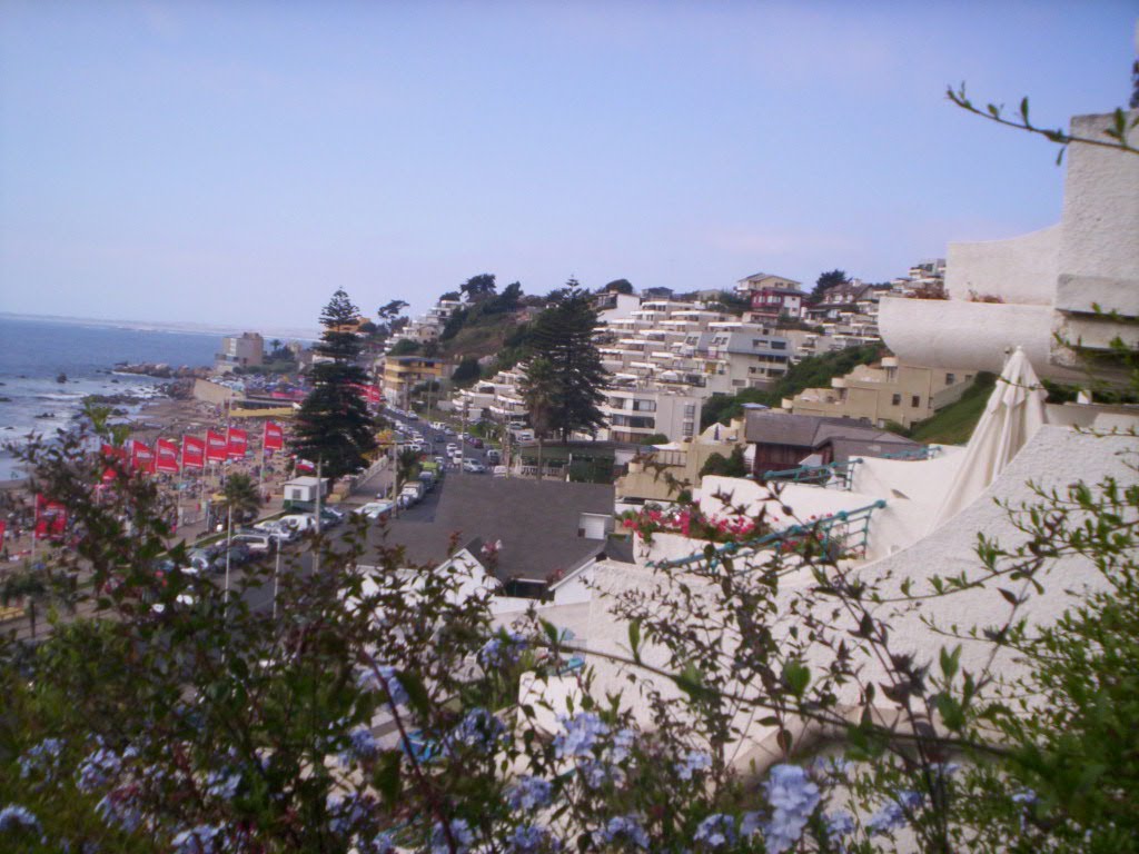 VISTA DESDE ESCALA.PLAYA AMARILLA, CONCON. by gastòn GARNICA