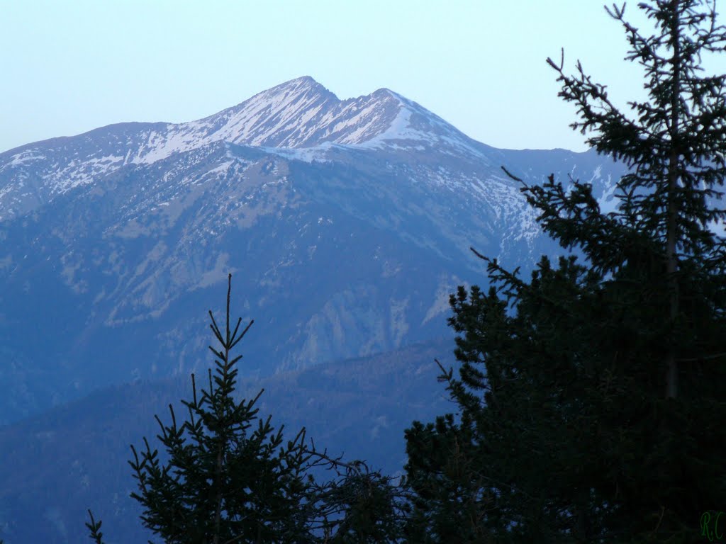 Le Canigou vue de Py-Mantet by Roland Courtin