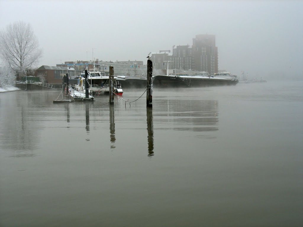 Winter aan het Wantij bij Dordrecht 2007 by petervanLoondordrech…