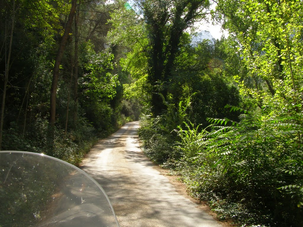 Camino del Tranco a Mogón by leivamo