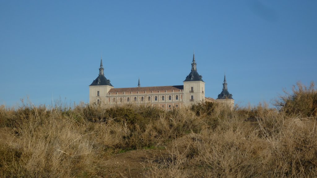 Desde el Cerro del Bú el Alcázar parece asomarse. by Luisiz2